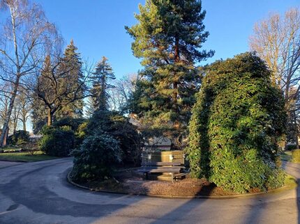 Pflanzfläche mit ehem. Brunnen Zentral im Friedhof