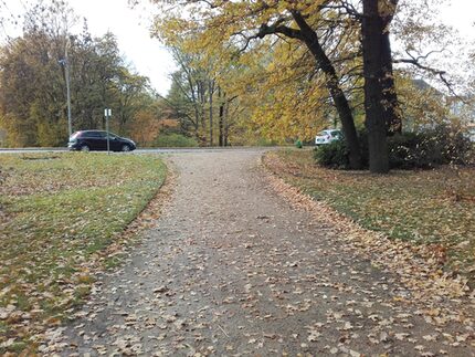 Weg vor der Sanierung