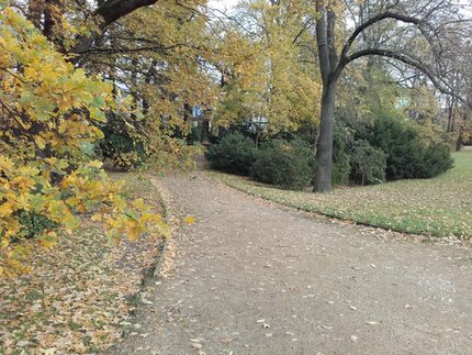 Weg Richtung Schwanenbrunnen vor der Sanierung