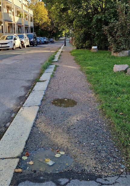 Weg vor der Sanierung