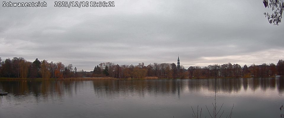 Schwanenteich Webcam