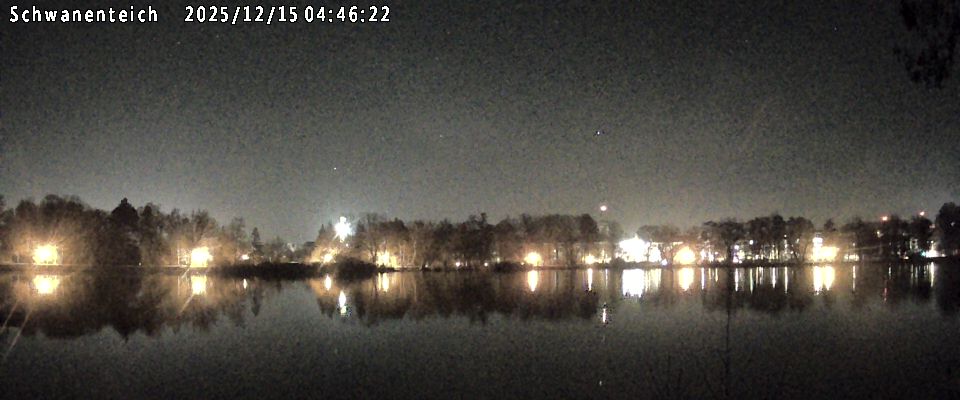 Schwanenteich Webcam