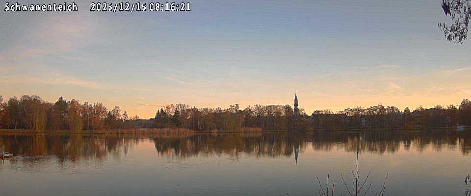 Schwanenteich Webcam