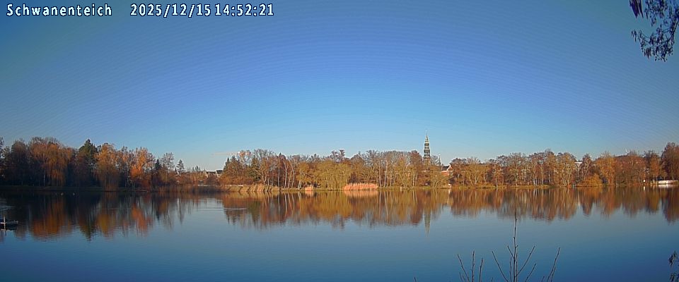 Schwanenteich Webcam
