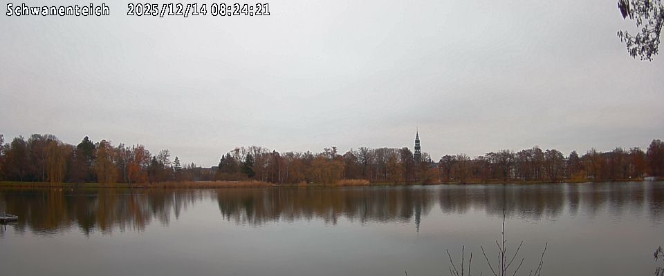 Schwanenteich Webcam