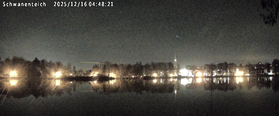 Schwanenteich Webcam