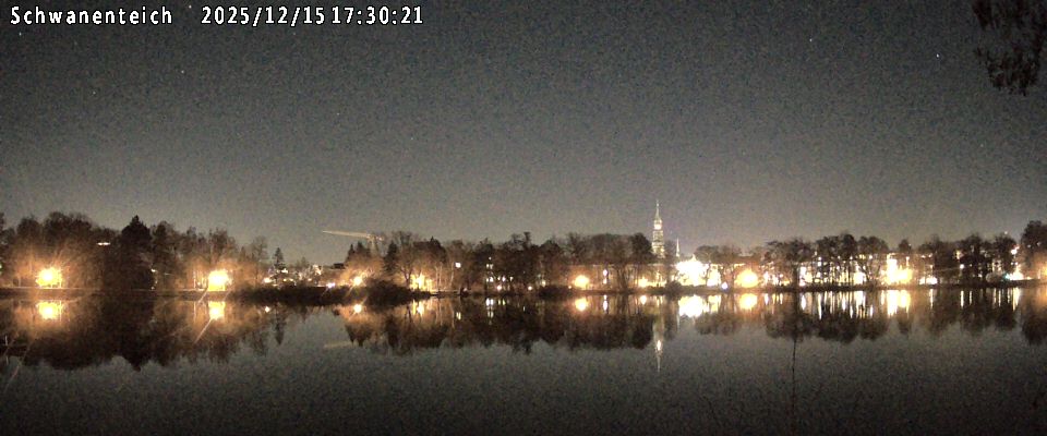 Schwanenteich Webcam
