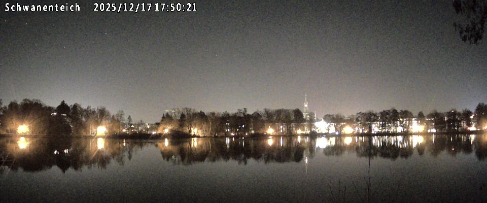 Schwanenteich Webcam
