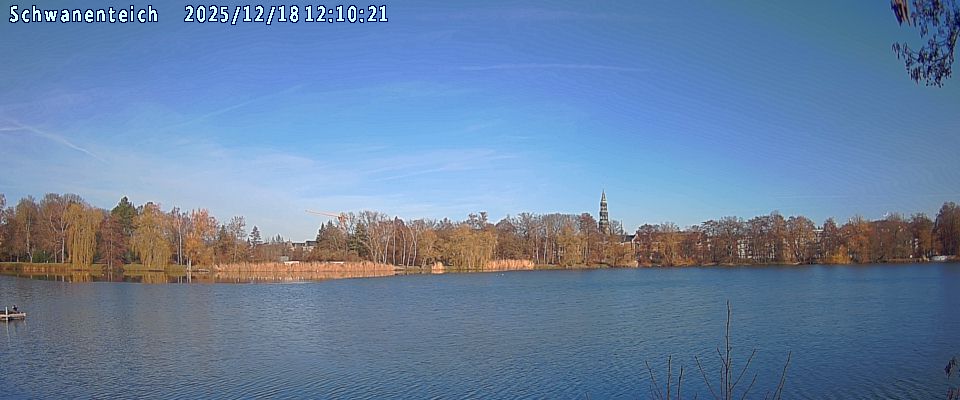 Schwanenteich Webcam