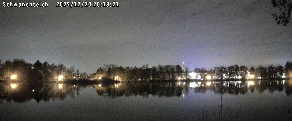 Schwanenteich Webcam