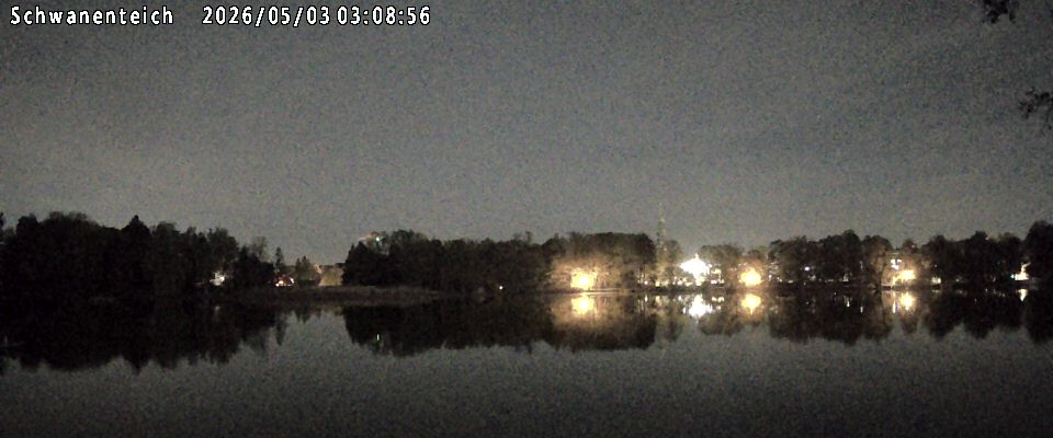 Schwanenteich Webcam