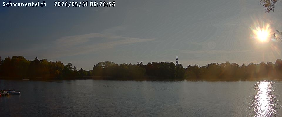 Schwanenteich Webcam