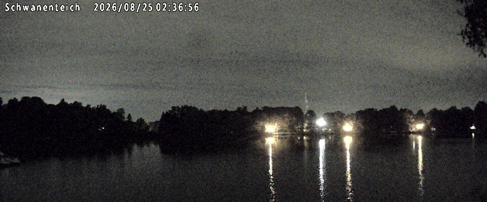 Schwanenteich Webcam