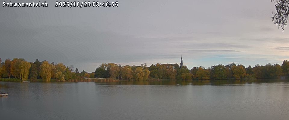 Schwanenteich Webcam