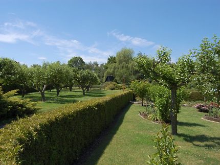 KGV Sonnenstein Apfelbäume