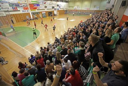 Handball players of the BSV-Saxony Zwickau in the sports hall Neuplanitz