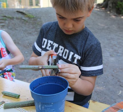 Eric beim Bau eines Ohrwurmhotels.jpg