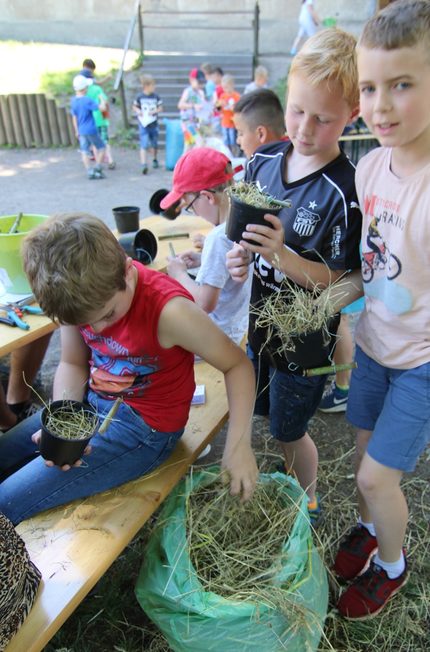 Ohrwurmhotel bekommt Innenaussatttung.jpg