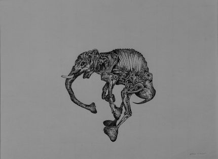 161115_Viktoria Miller.jpg