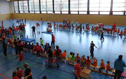HallensportfestSchulen2014.jpg