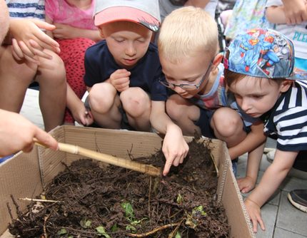 260617_Experiment Vielfalt der Tiere im Humushaufen.jpg