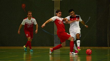 csm_134539-Jahn_Futsal_-_Hamburg_Panthers__2_-1600px_6cfbf30066.jpg