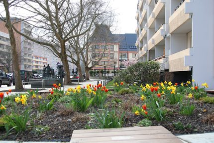 Frühjahrsbepflanzung