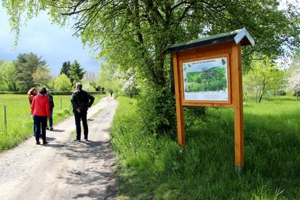 Feuchtgebiet Maxhütte