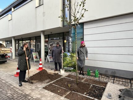 Bürgermeister und Oberbürgermeisterin bei der Baumplanzung