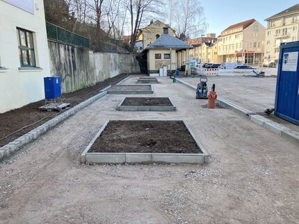 Standort Bäume und Tischtennisplatte