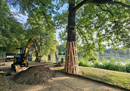 Baufeld im Dammbereich