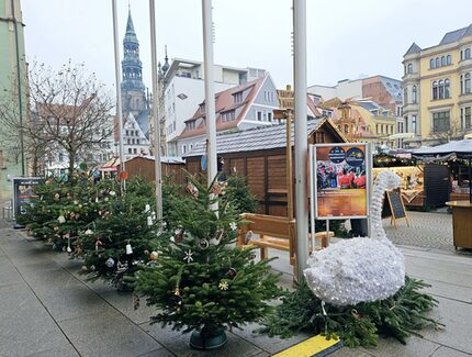 14 von Kindern dekorierte Weihnachtsbäume vorm Rathaus
