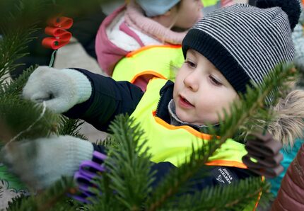 Es ist gar nicht so leicht an die oberen Zweige zu kommen