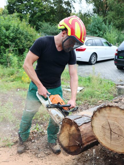 Verarbeitet wird überwiegend das Holz der Lärche.