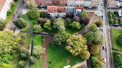 Luftbild: Der östlicher Parkbereich ist fast fertig