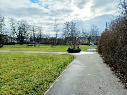 Im Stadtpark Marienthal starten demnächst bauvorbereitende Arbeiten zur Neugestaltung.