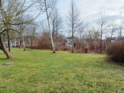 Im Böschungsbereich zur Antonstraße werden hauptsächlich Birken entfernt.