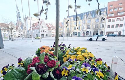 Am Rathaus hat der Frühling schon Einzug gehalten
