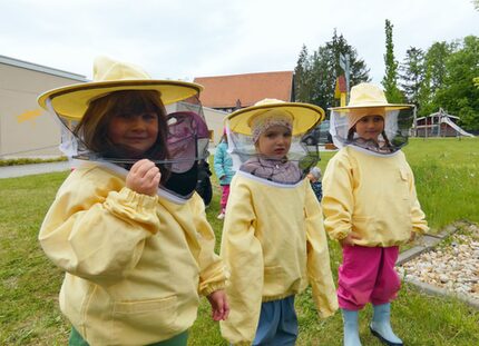 kleine Bienen-Profis