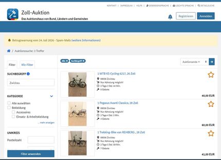 Angebotsseite auf Zoll-Auktion