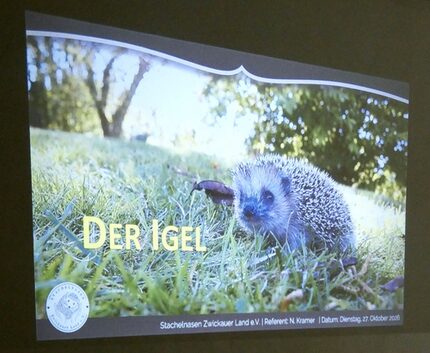 Der Verein informierte kindgerecht zum Thema Igel