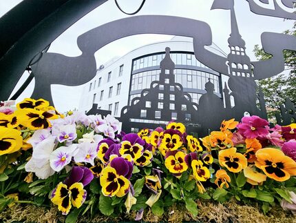 Gewinnerfotos des Wettbewerbs 2025