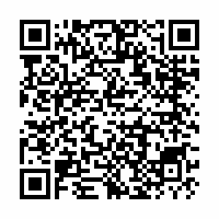 QR Code für Schätzchen aus dem Museumsdepot: Ein Bronzeschwert