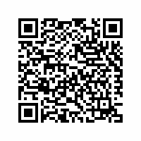 QR Code für Zauberstäbe aus Worbla basteln