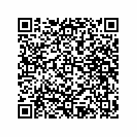 QR Code für Vorstellung eines Schätzchens aus dem Museumsdepot als Objekt des Monats März: Ein Feuersteindolch, um 1600 v. Chr.