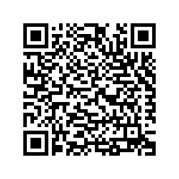 QR Code für Fasching