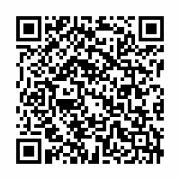 QR Code für FreiRAUM: Eda Aslan. Between Grey and Blue, Between Dust and Rock
