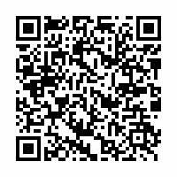 QR Code für Schätzchen aus dem Museumsdepot: Eine Geldkatze, 19. Jh.