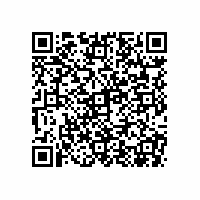 QR Code für Schätzchen aus dem Museumsdepot: Modell einer Ritterburg, um 1940