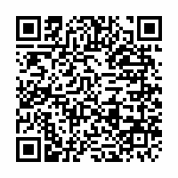 QR Code für Steinreich – zwischen Kunstsammlungen und Priesterhäusern